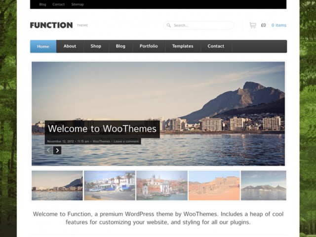 Function v1.0.1 for WordPress