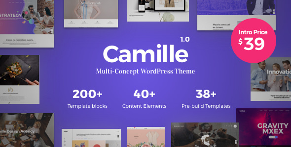 Camille v1.0.1 - Multi-Concept WordPress Theme